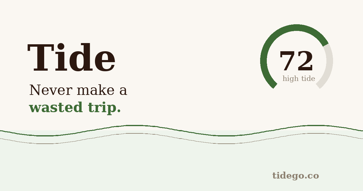 Why I built Tide, and how to never waste a shopping trip again